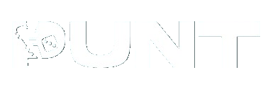 Punt Punt